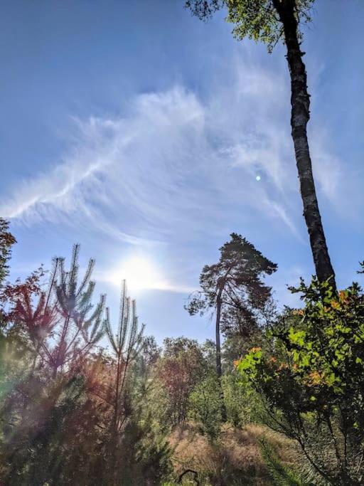 Sfeervol Chaletje In Een Rustige Bosrijke Omgeving Diessen Екстер'єр фото